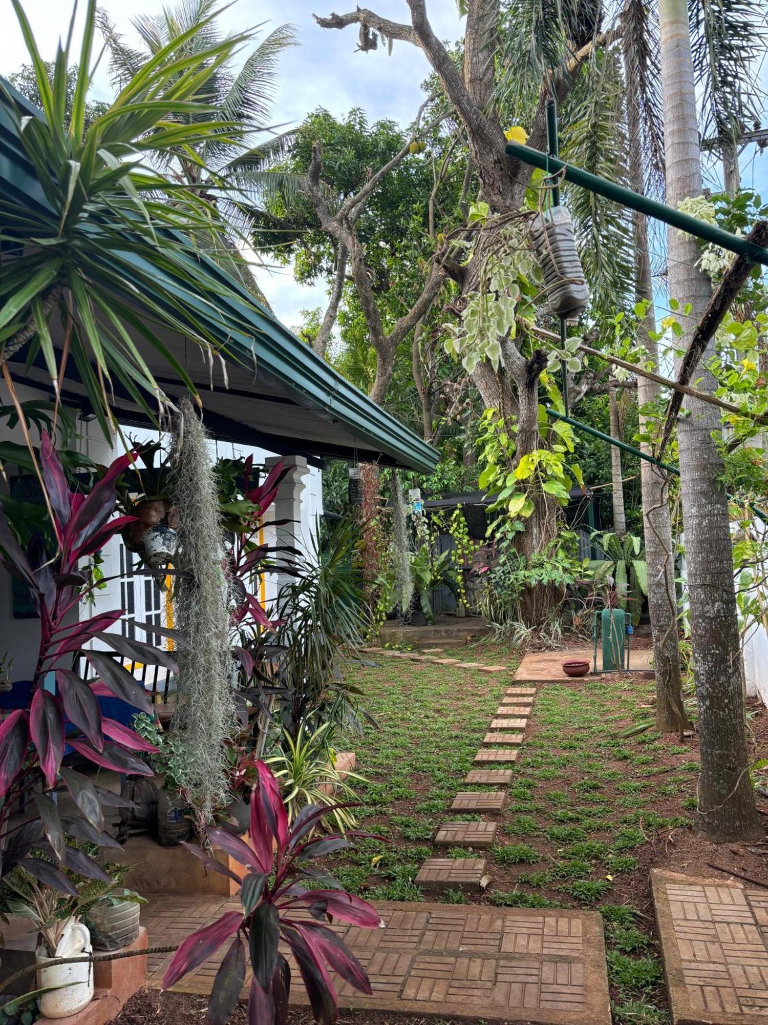 Goalma Family Holiday Resort & Restaurant Anuradhapura Eksteriør bilde
