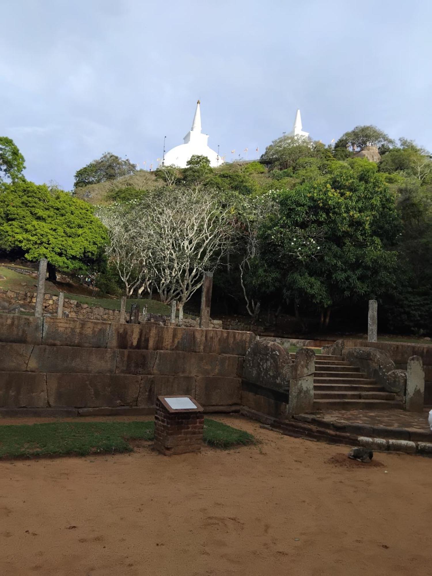 Goalma Family Holiday Resort & Restaurant Anuradhapura Eksteriør bilde